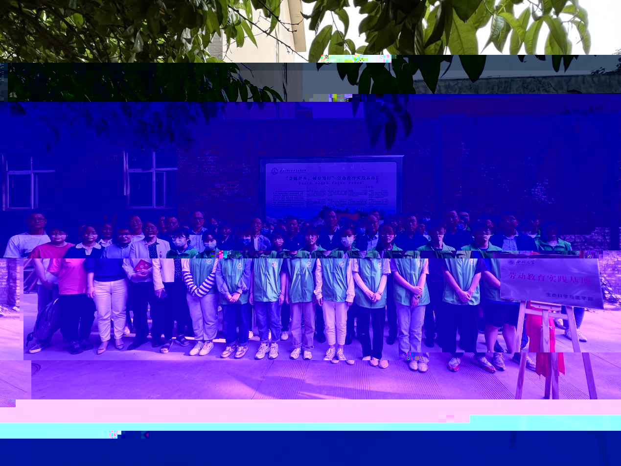 2CCABB6CCC71DAB3ABC2DDECB9929E26