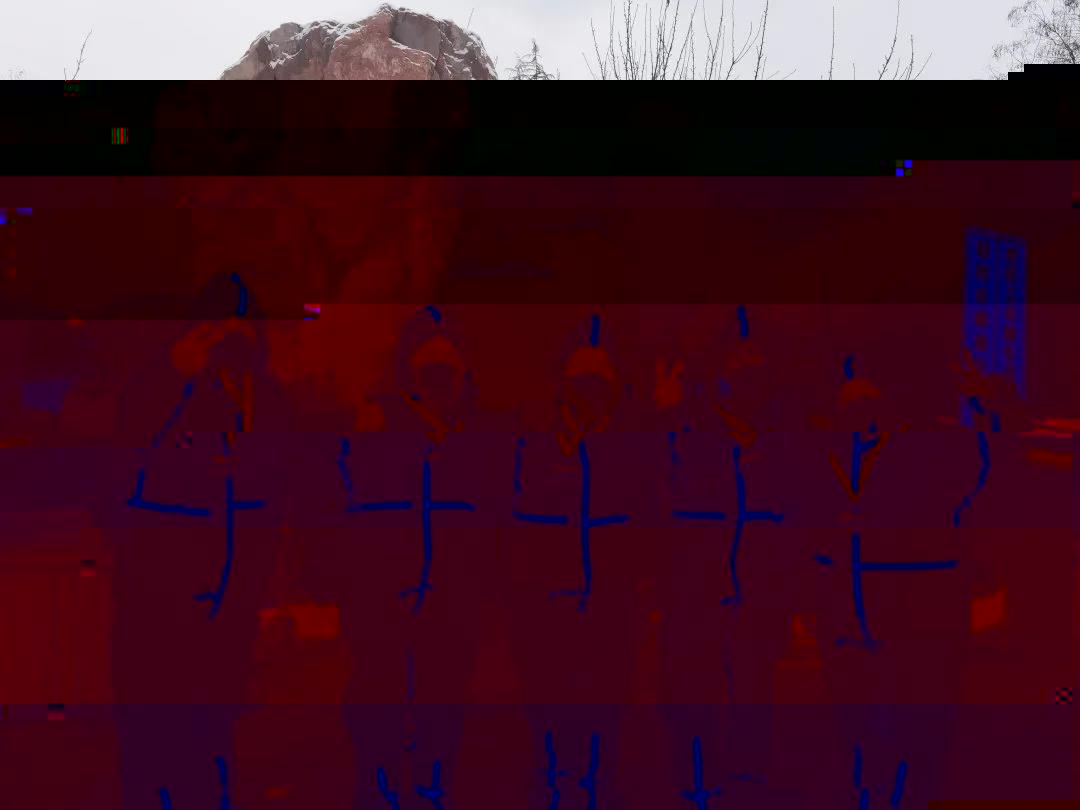 2D4D1
